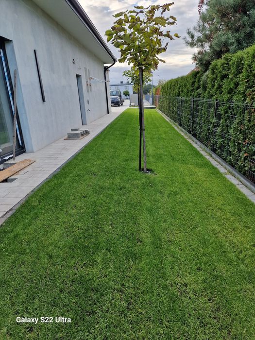 Zakładanie trawników, prace ogrodnicze, niewelacja terenu