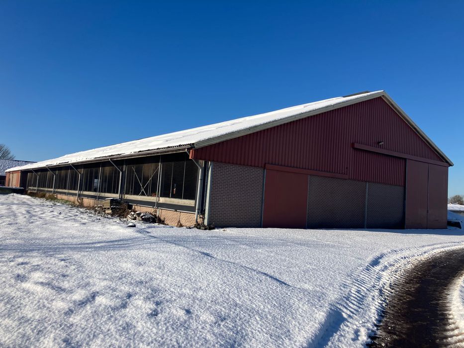 Obora budynek inwentarski 150szt ruszta konstrukcja stalowa  20x67