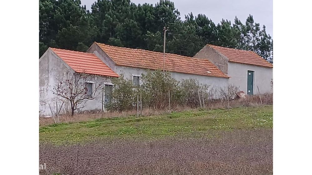 Quinta a 30 Minutos de Lisboa