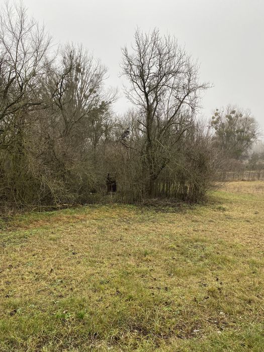 Лубны(Мгарь) дом+24+12 соток, возле речки.