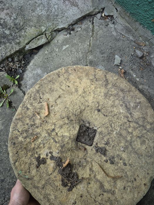 Kamien ozdobny do ogrodu