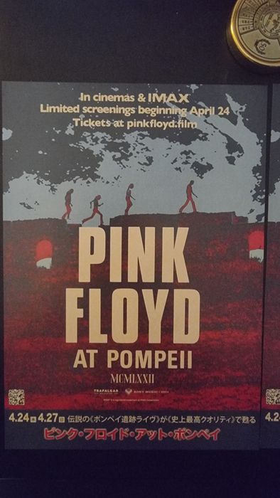 Pink floyd Flyer