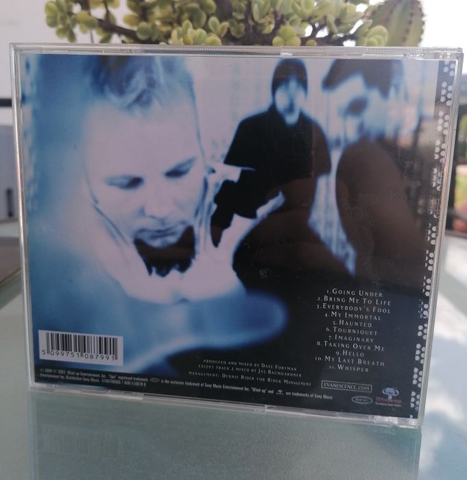 Evanescence - Fallen (CD)
