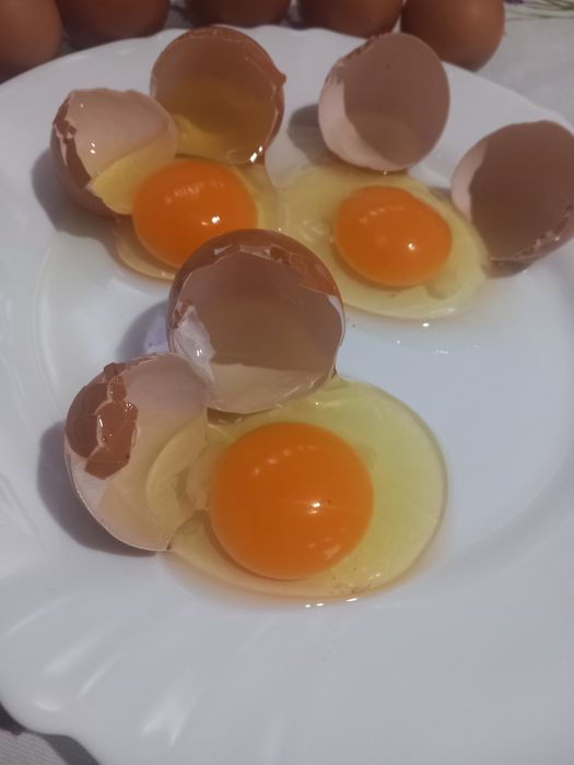 Ovos caseiros 3€(dúzia)