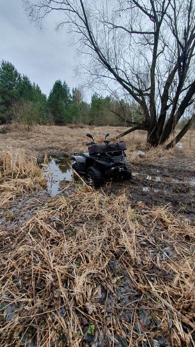 Linxai 300 На бойовому ходу