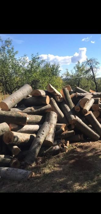 Продам дрова твеодих порід  ..