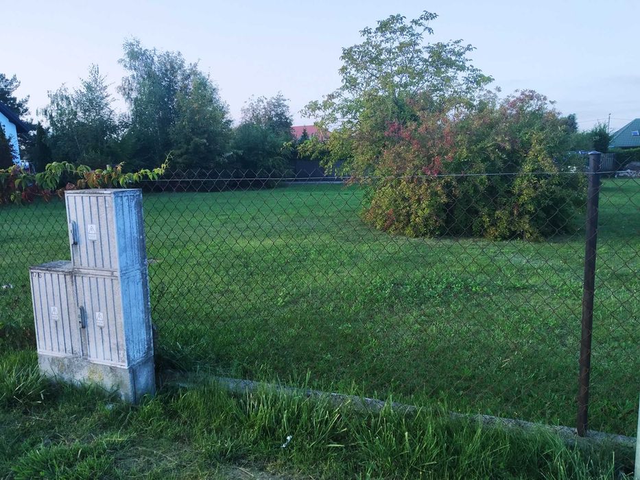 Zdjęcie 5