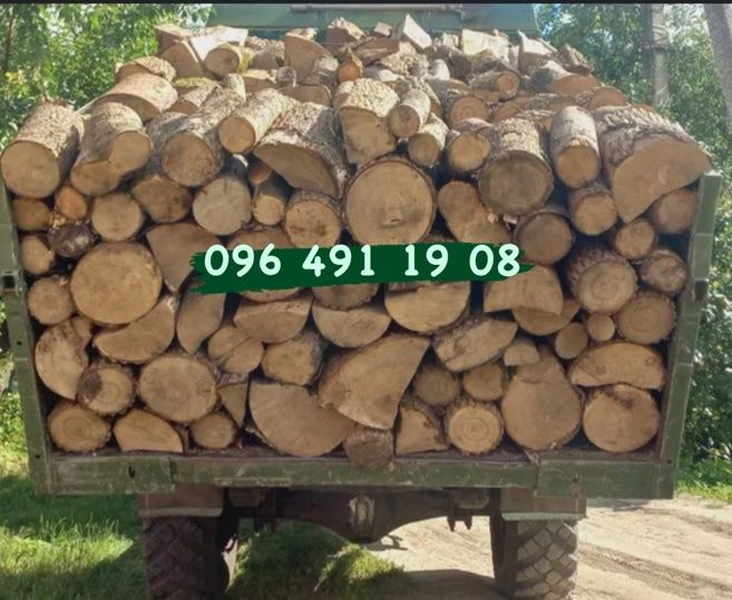 Дрова бук, граб.