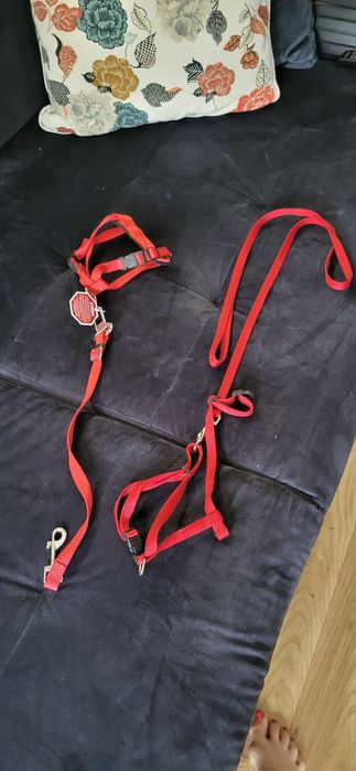 Smyczki dla piesków , małych.