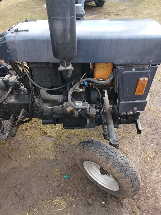 Сінтай у гарному стані