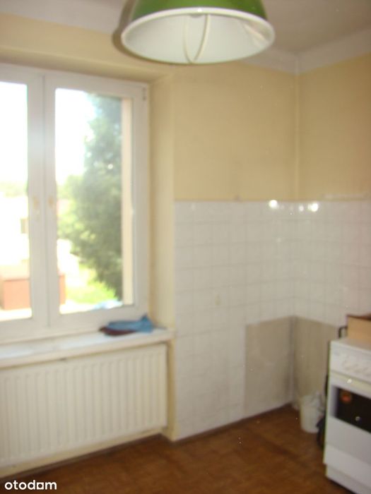 Zdjęcie 6