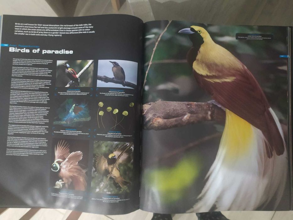 livro grande - ANIMALS