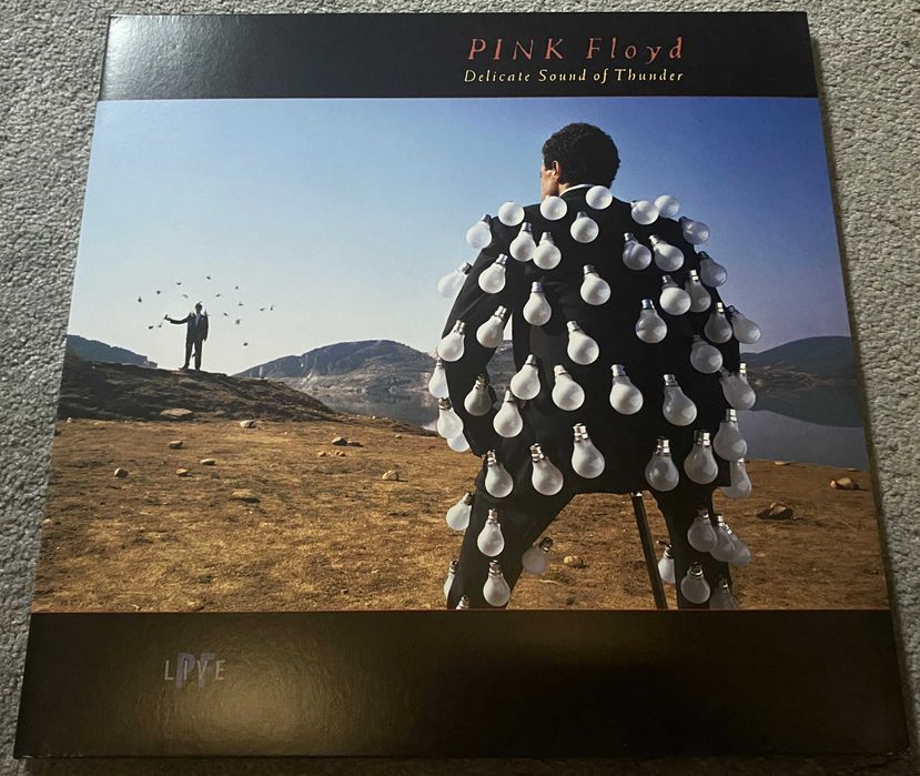 Pink Floyd Delicate Sound Of Thunder 2LP NM!!!