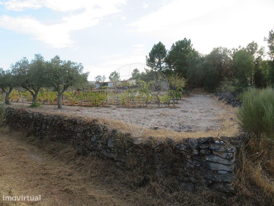 Terreno  para venda — Larinho, Bragança