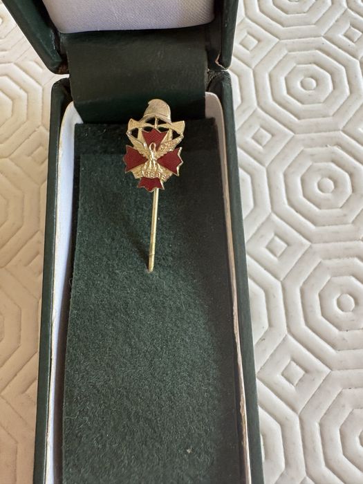 Alfinetes pins lapela