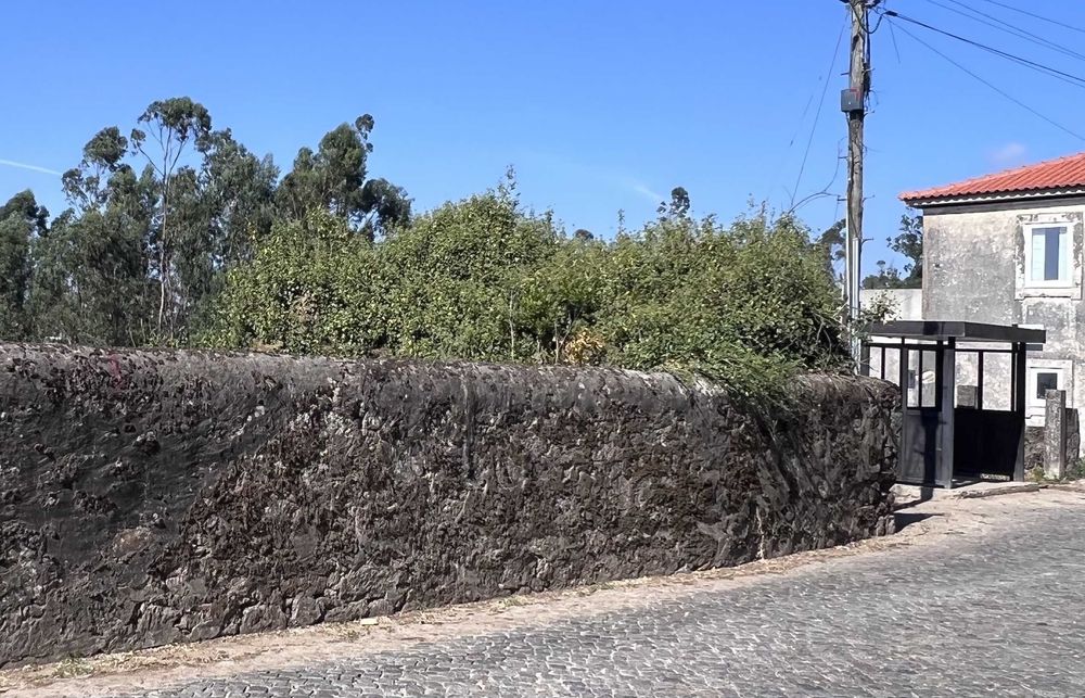 Terreno urbano 850m2 no campo e perto de tudo!