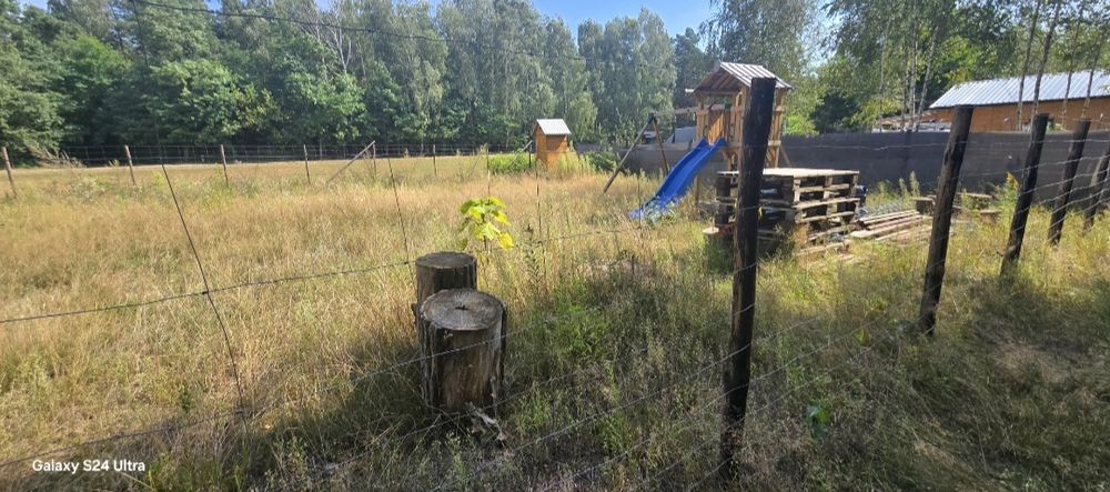 Działka rekreacyjna 600m² - Widok 3
