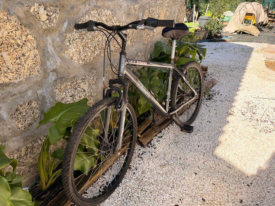 bicileta – Team Off Road (Cinza)