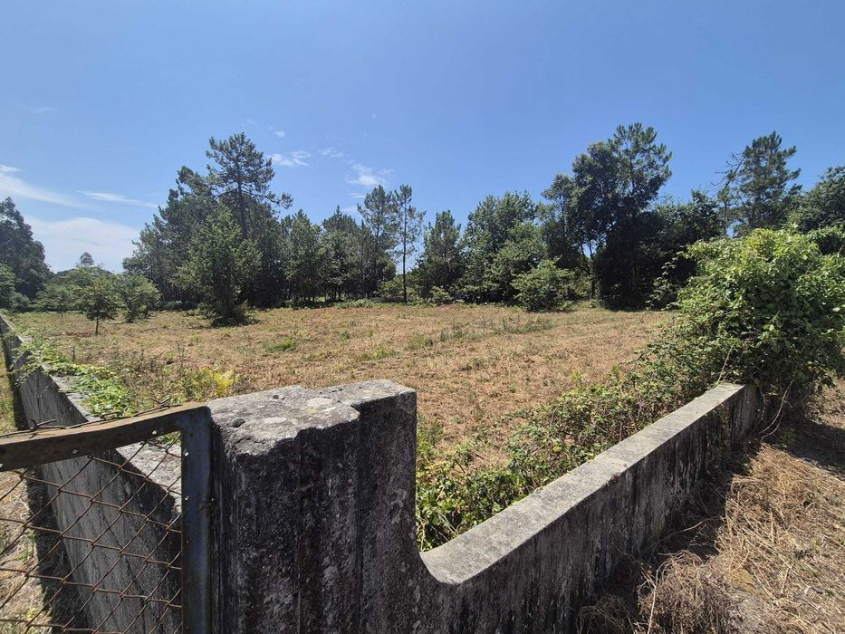 Vendo    Terreno Agrícola