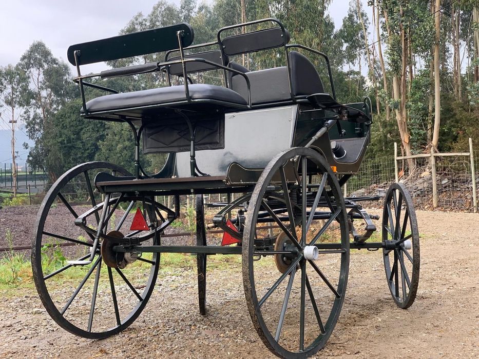 Charrete spider 1/2 cavalos