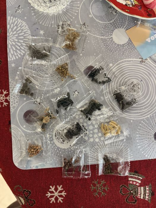 Насіння соняшника