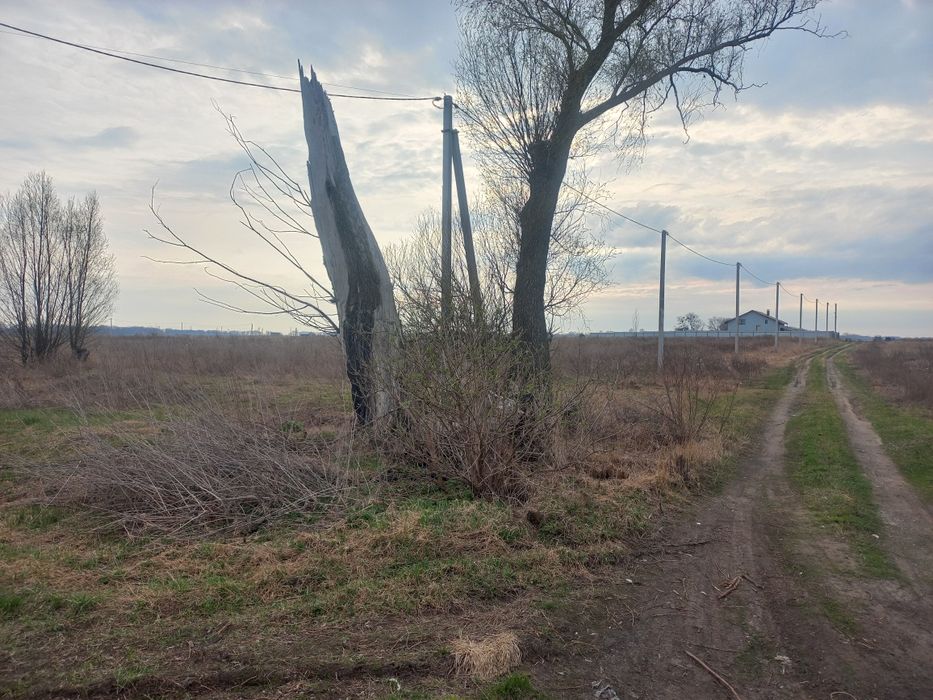 Продам земельну ділянку в Затишному