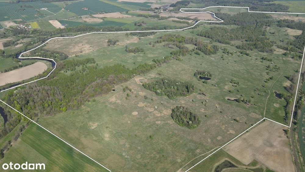 Działki rolne 247 ha / las / linia brzegowa rzeki Łyny / potencjał OZE