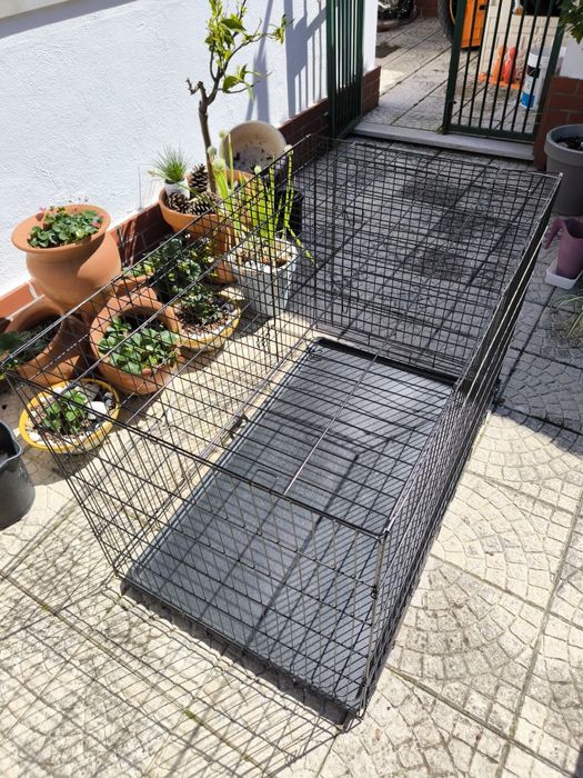 Caixa de transporte para cães