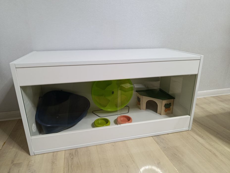 Terrarium dla jeża pigmejskiego