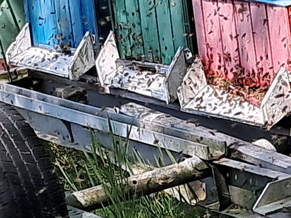 Pasieka na sprzedaż 3-4 rodziny