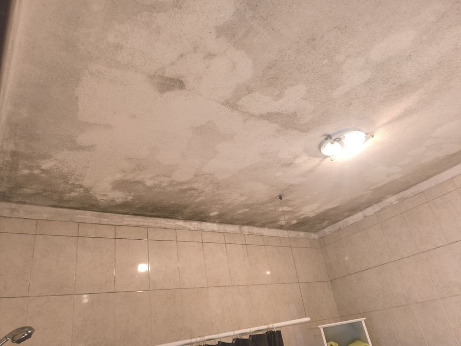 Serviços profissionais de pintura – Portimão e região