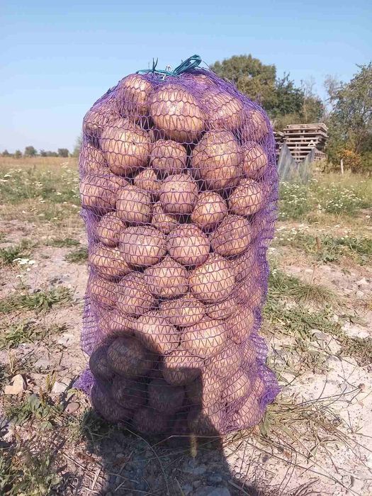 Картопля домашня доставка