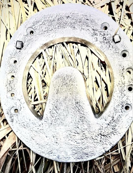 Подкови с лошадей