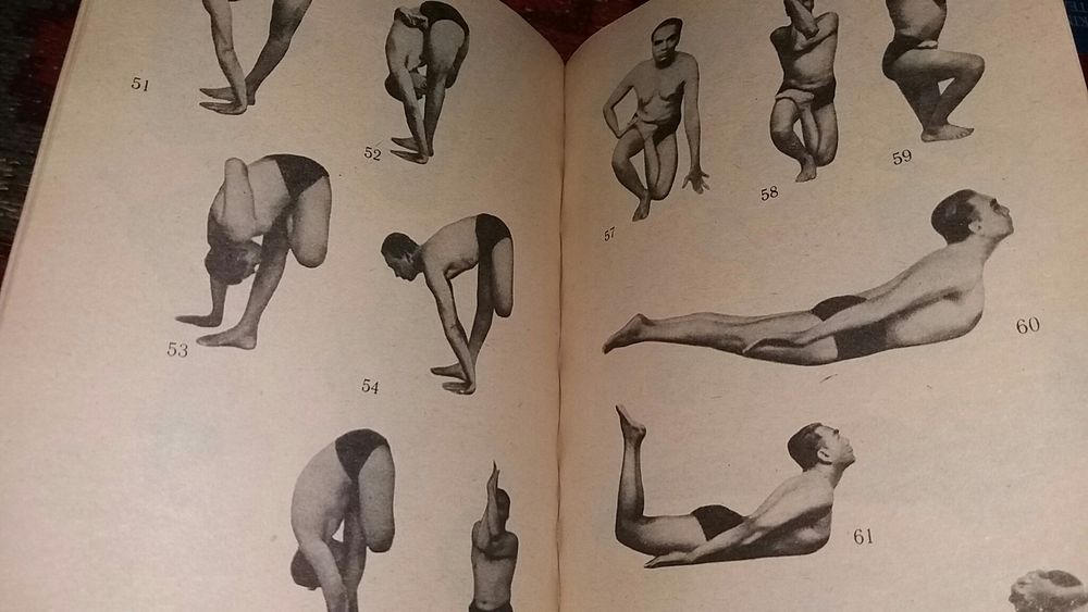 Айенгар Йога дипика Айєнгар Погляд на йогу