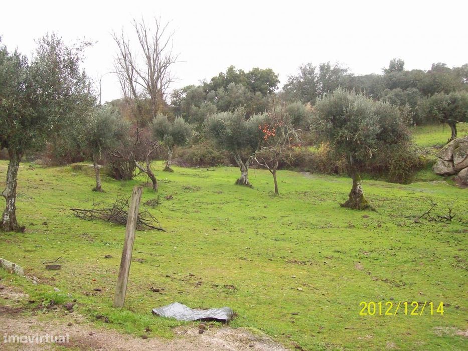 Herdade do Monte da Pedra.