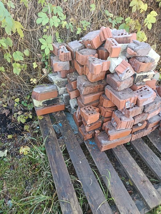 Oddam cegle za darmo