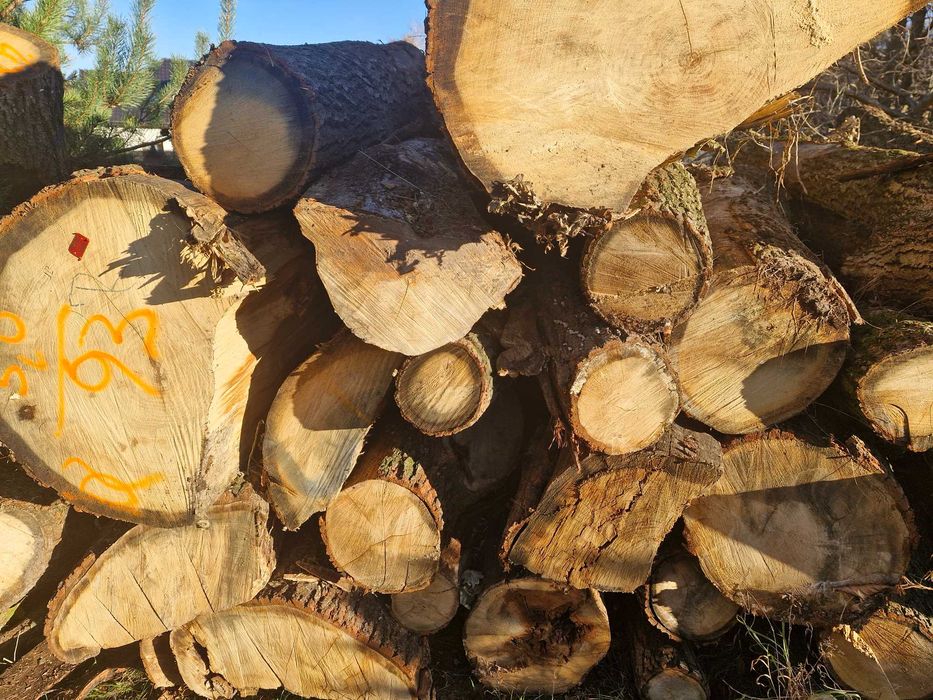 Drewno kominkowe i opałowe