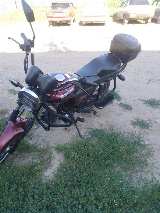 Продам помед мустанг