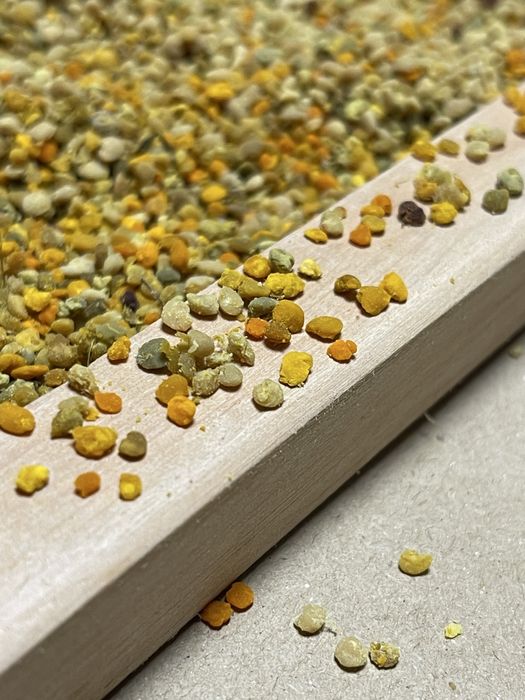 Pyłek pszczeli – naturalne wsparcie odporności