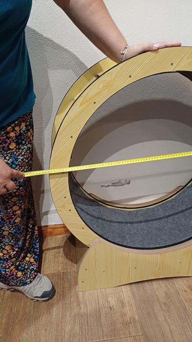 Roda exercícios gato