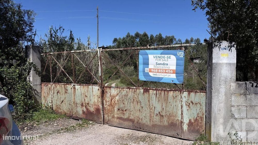 Terreno em Amiais de Baixo