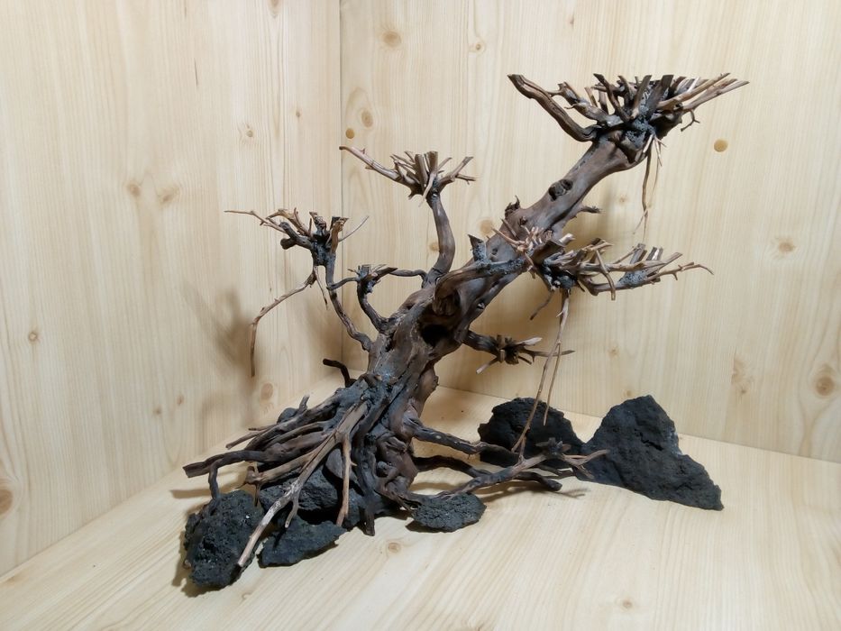 Акваріумний бонсай aqua bonsai акваріумні декораціі