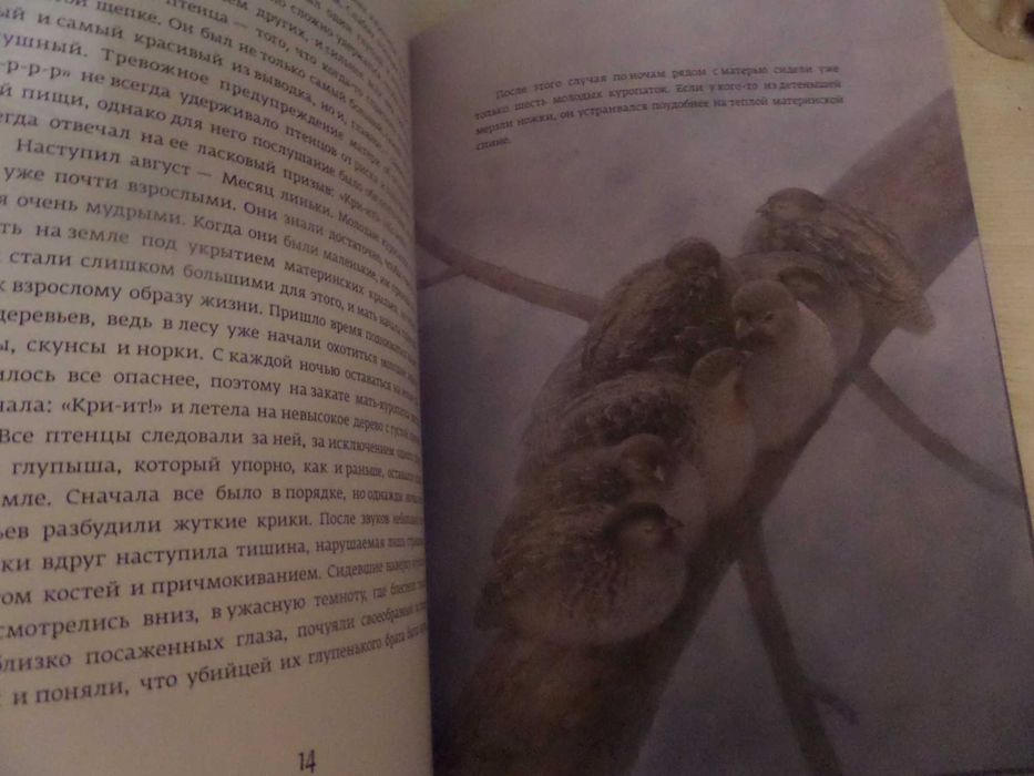 Эрнест Сетон-Томпсон Красношейка