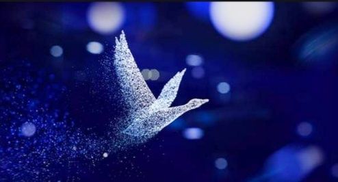 Эксклюзивные матовые Шоты мирового бренда "Grey Goose"!