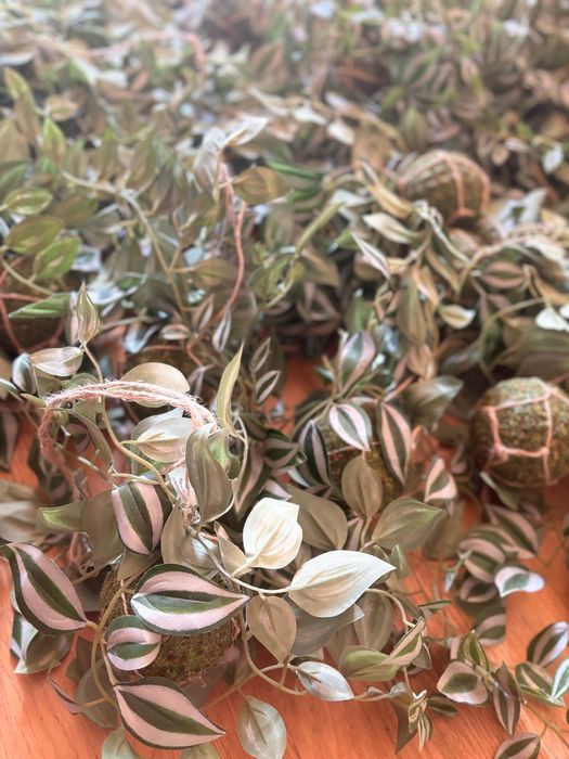 Dekoracja dżungla zielone kule