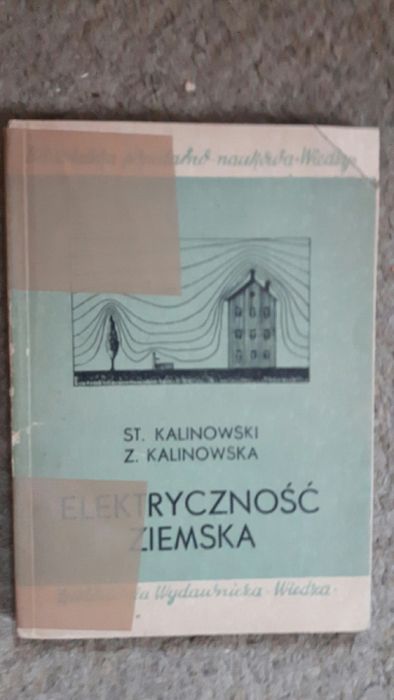 Elektryczność ziemska Kalinowski i Informato katalog wyrobów mrożonych