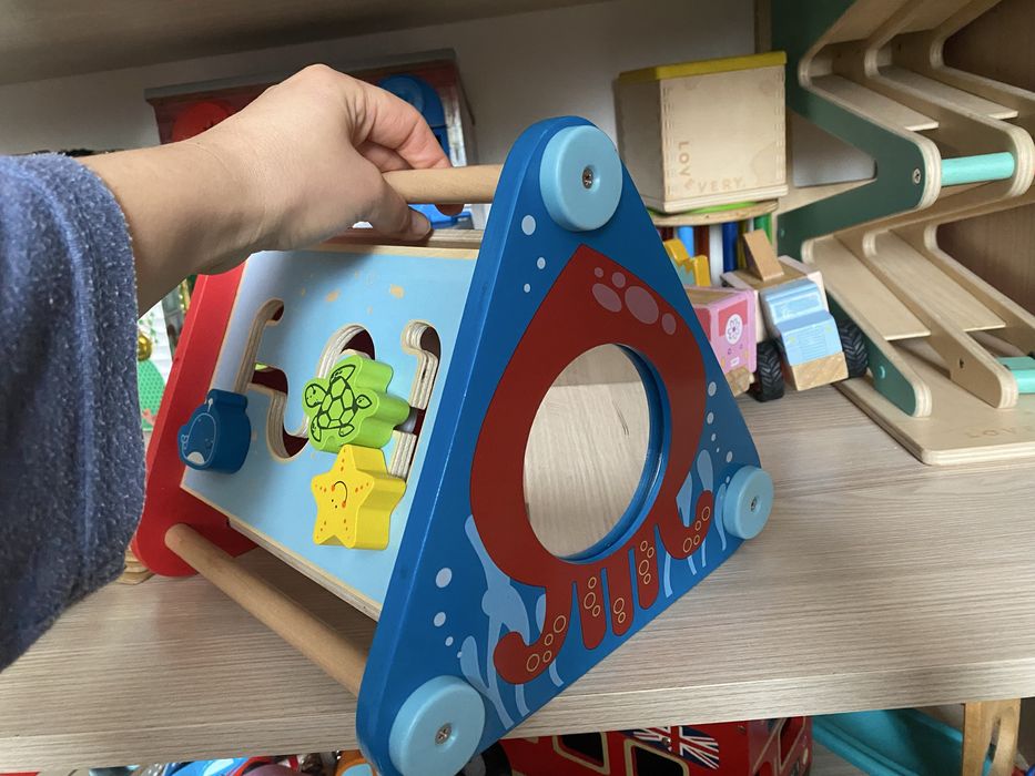 Лот деревʼяних іграшок для розвидку від Hape