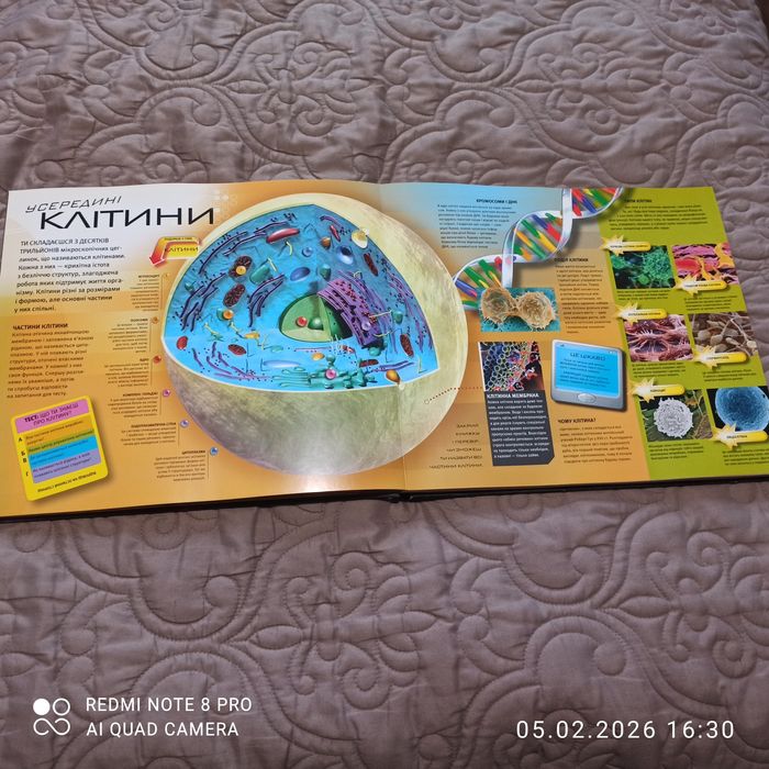 Дитяча пізнавальна література  для дітей молодшого шкільного віку.