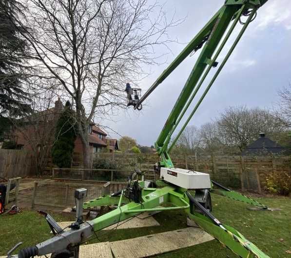Przycinanie drzew wycinka i pielęgnacja drzew - Arborystyka
