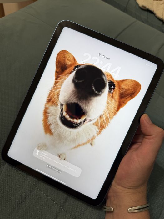 Ipad 10.9 2022 256 gb